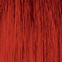 Hot Red Stargazer Haarfarbe